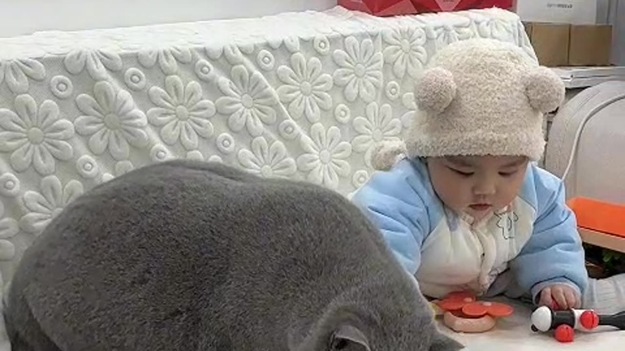 funny animal 😂😂😂🤣🤣😍
