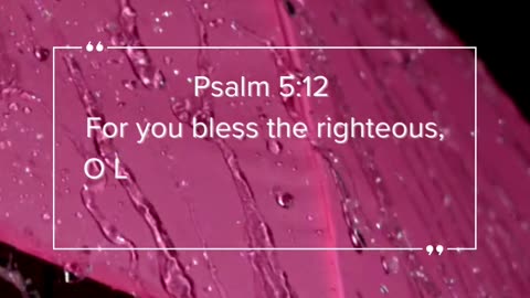 Psalm 5:12