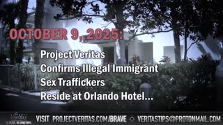 Project Veritas Foils Brazilian Gang's Plot to Bomb Florida Synagogue