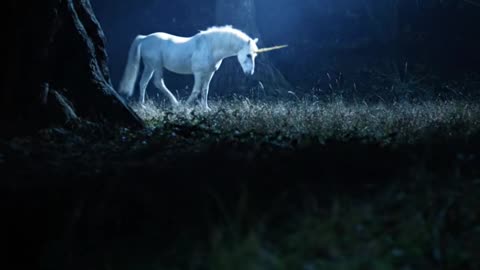 Unicorn.