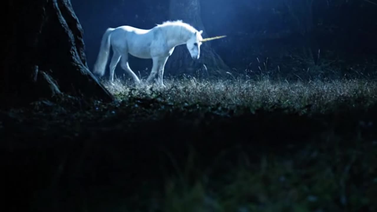 Unicorn.