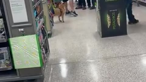 😡🏀 Drunk Racist Gets Butt Whooped in Publix! | FCN