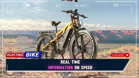 PULUMA PH003 Electric Bike 3000W Motor 48V 20AH Battery 26*4.0 Inch Fat Tire