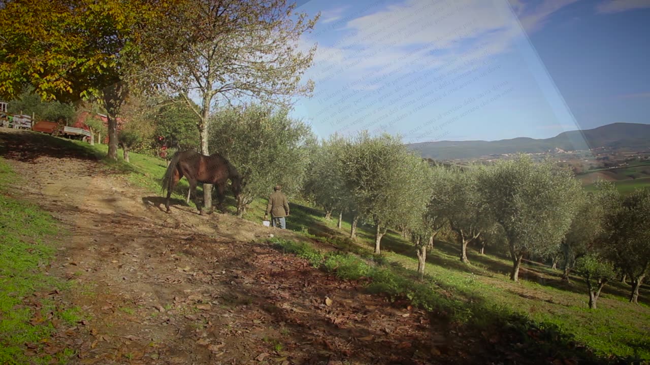 I doni degli angeli - trailer