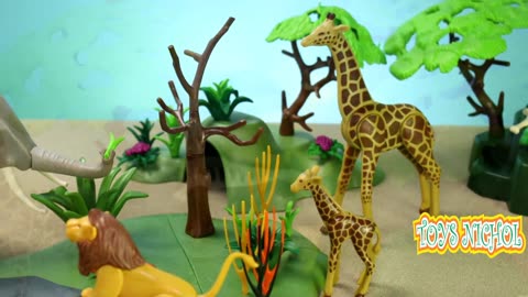 Adventure in the Forest Through the River to Look for Rare Birds