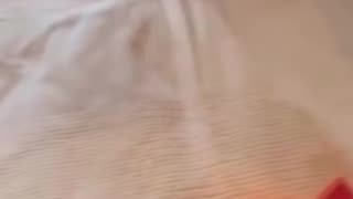 Yo this is nostalgic and funny