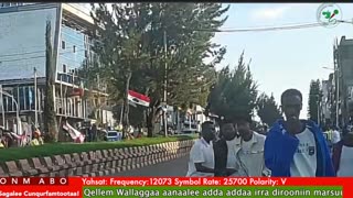 Oduu Ganama ONM-ABO Sadaasa 16-2025 itti dhiyaadhaa!