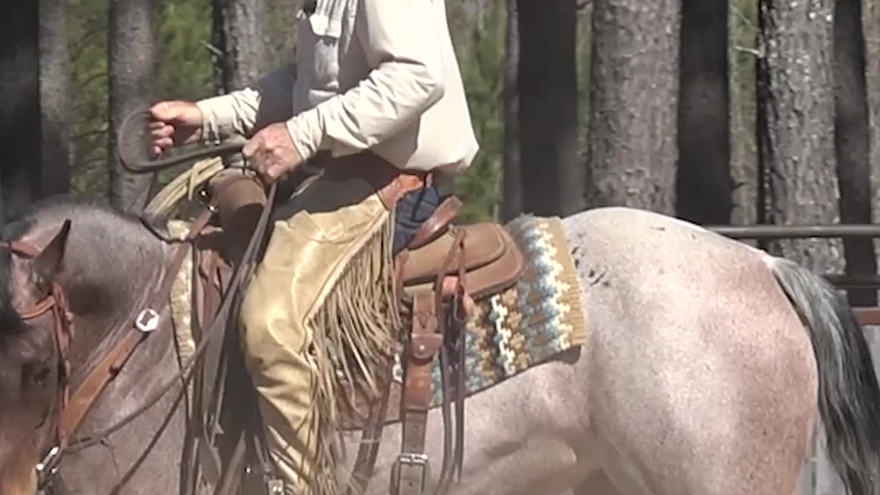 You wouldn't drive a car without speed control so why ride a horse without it?