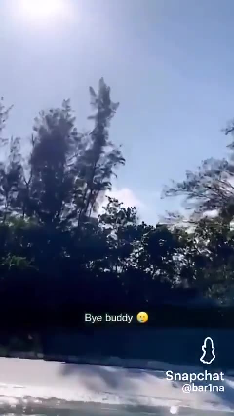 Owl lost at sea, returned back to shore by two dudes