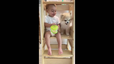 Snack Time Together 😂🐾 Baby and Puppy Duo