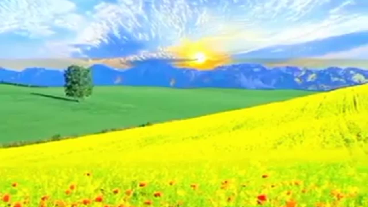Quran Recitation for Healing & Inner Peace