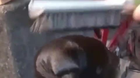 Crow demands more