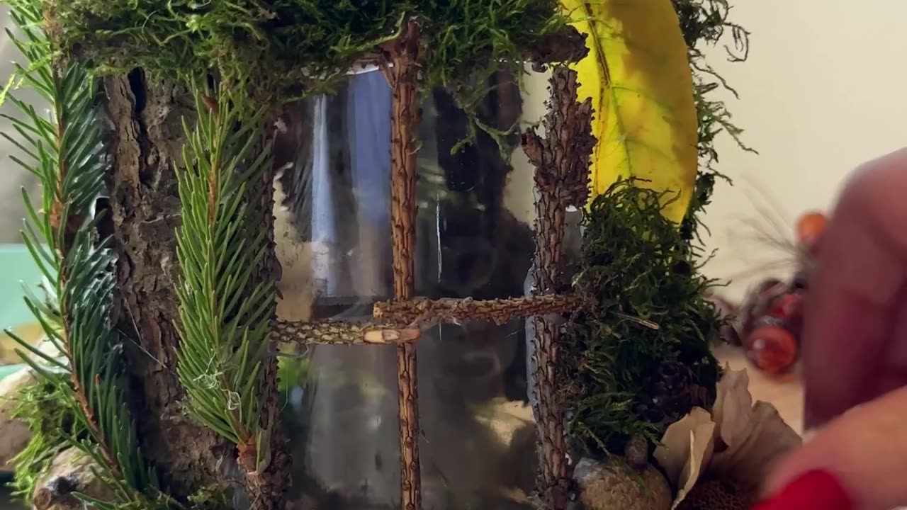 Naturalistic Crafted House