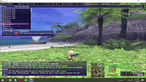 Playing Final Fantasy XI Online