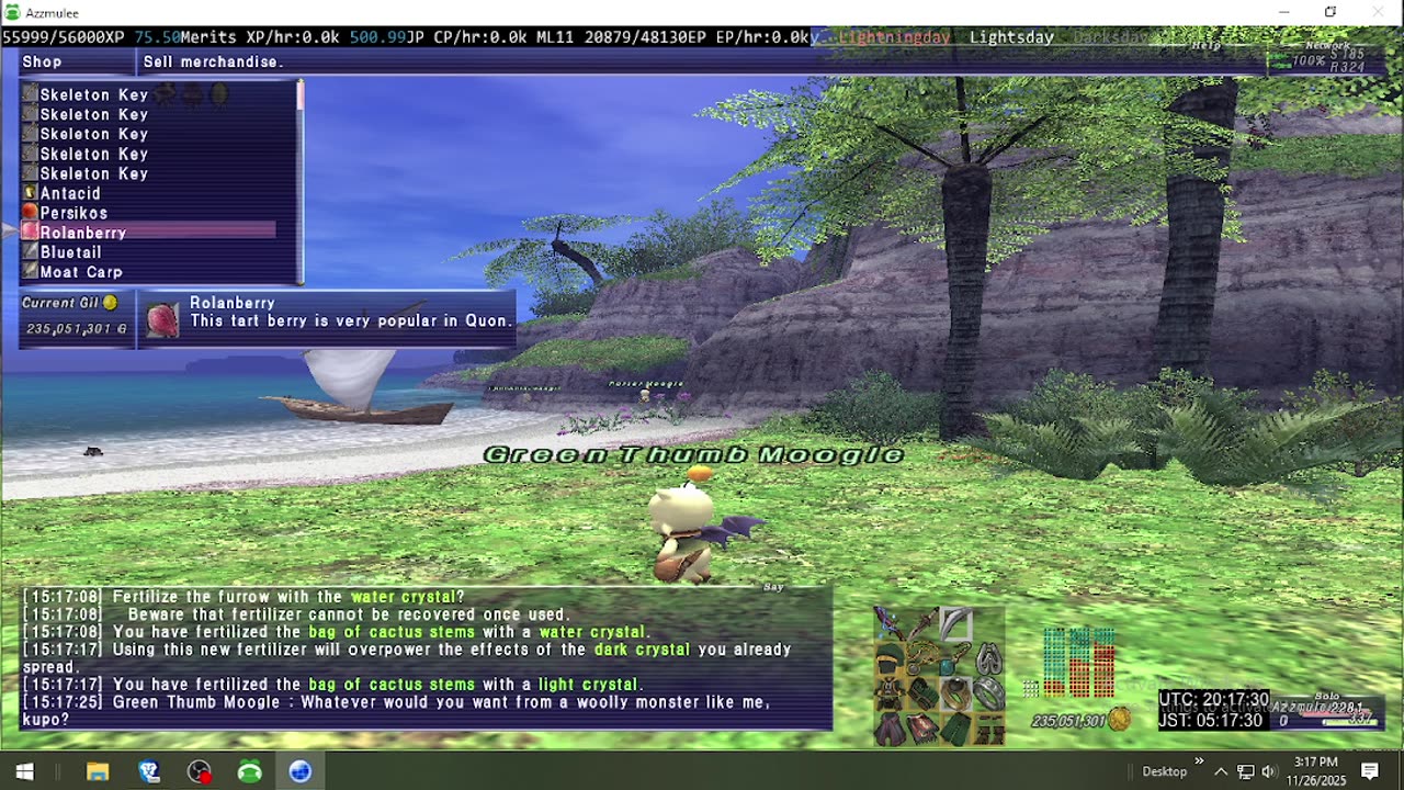 Playing Final Fantasy XI Online