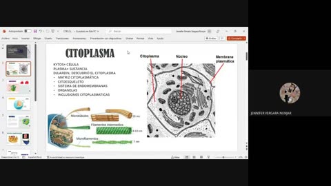 PAMER SEMESTRAL 2023 | Semana 04 | Biología: Citología II