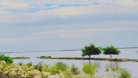 Discovering the Beauty of Sindhu Dariya Near My Village #maxrecords #larkana #sindh #villagelife