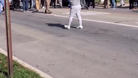 DHS agents were rammed by the occupants of a car tailing them. Both were pulled