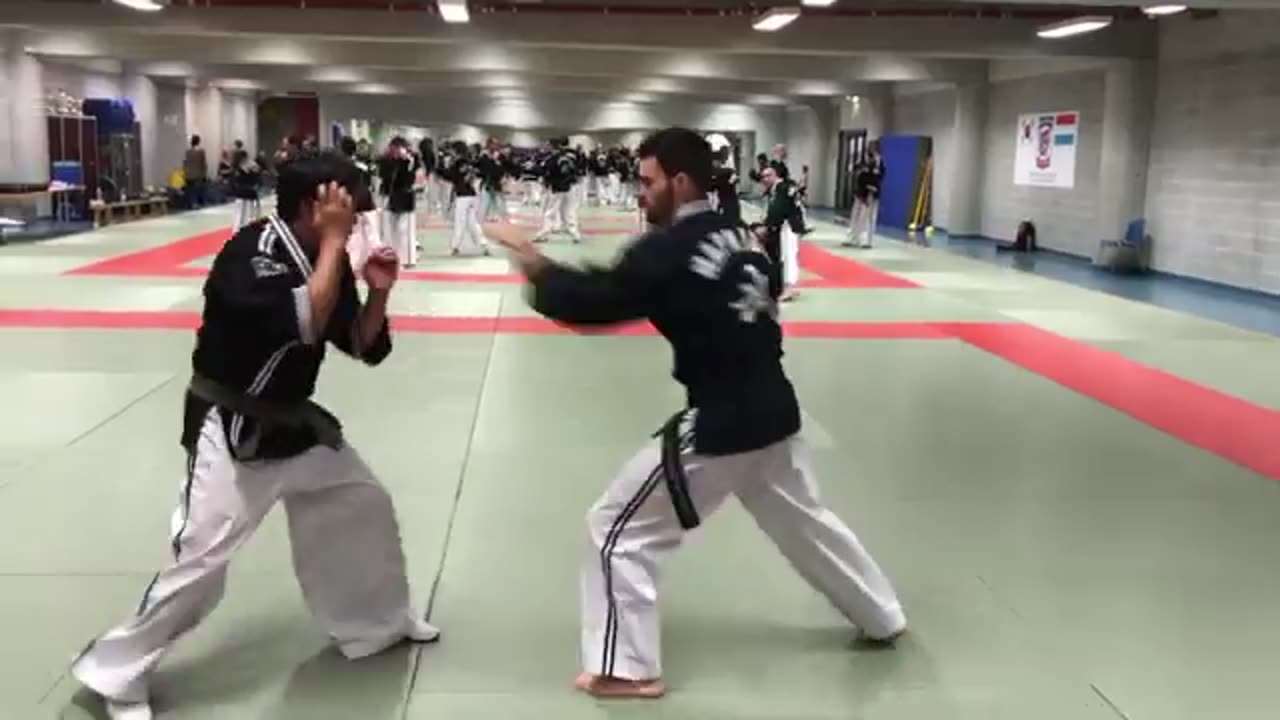 Hapkimudo