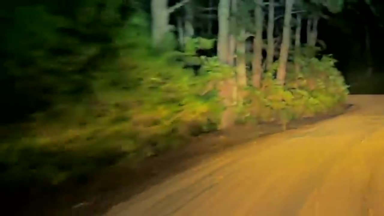 WARRIORS DENZEL & VAN DIESAL