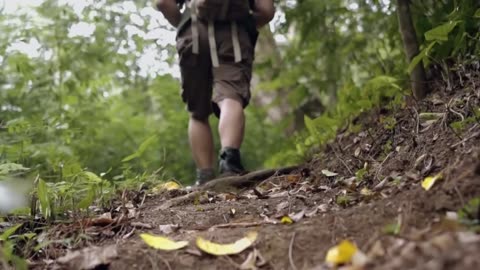 Which Creature Can Survive the Longest Without Food? | Nature’s Ultimate Fasting Champion!