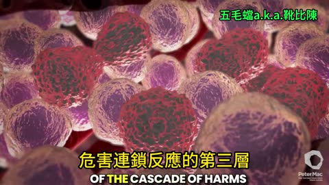 mRNA 技術引發一連串生物性破壞效應，被稱為「傷害級聯反應」 mRNA Technology Triggers a Chain Reaction of Biological Destruction Called the “Cascade of Harm”