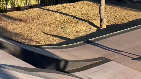 🏠🛹 Elliot Sloan's XGames Practice! | SkateNation