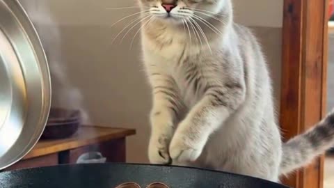 There is no Soup Inside