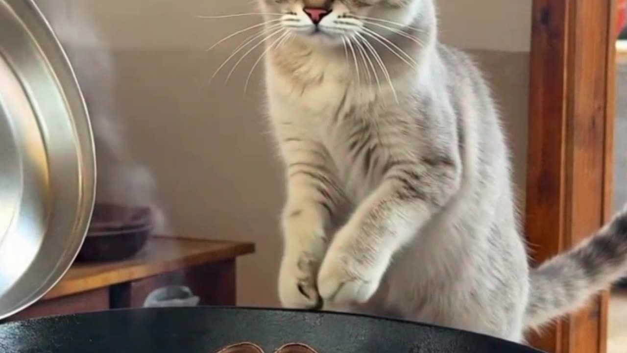 There is no Soup Inside