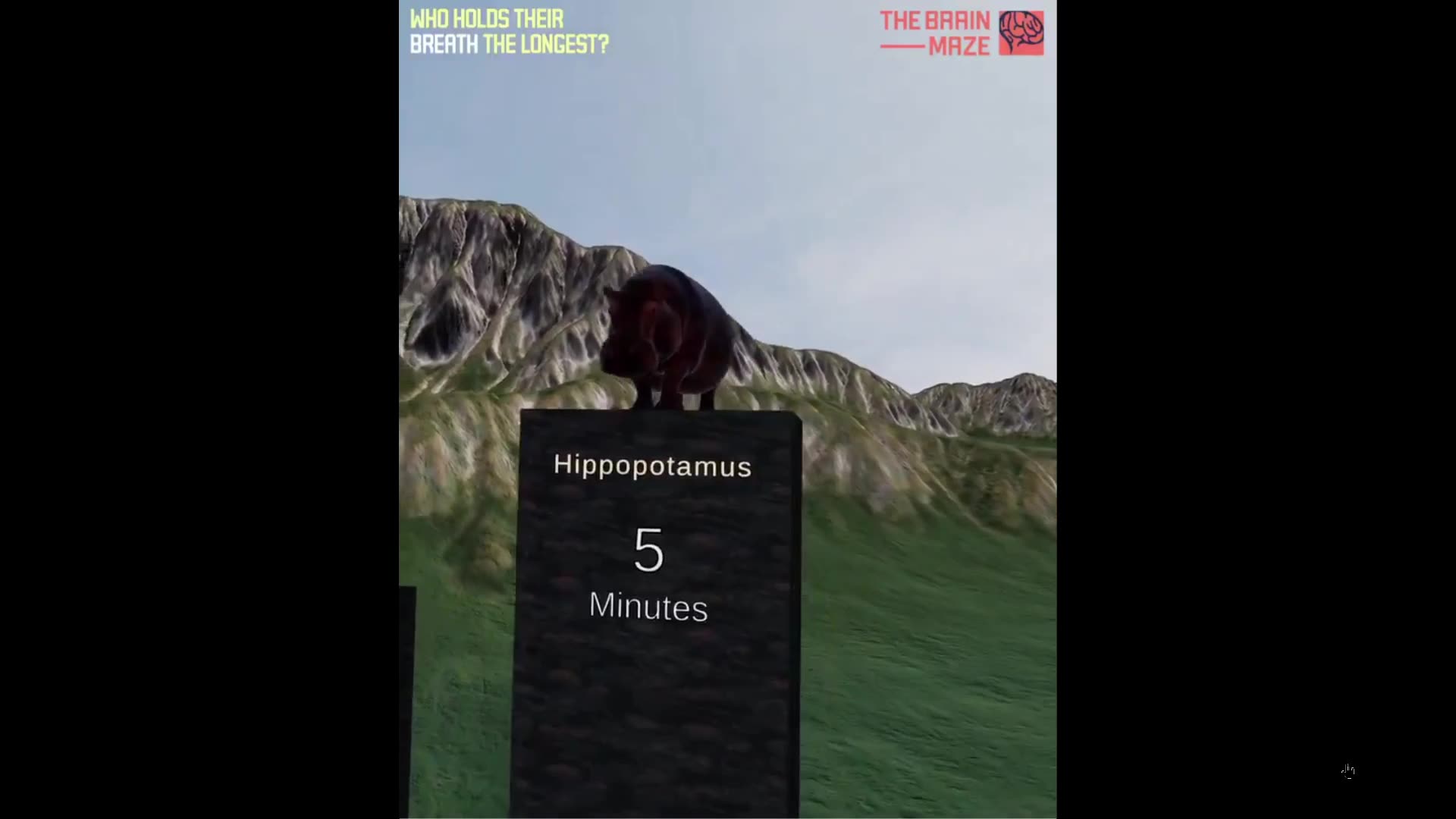 Animals that hold their breathe the longest in the water. Surprises huh