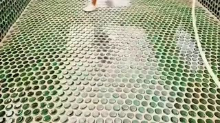 Check out this glass bottle masterpiece!