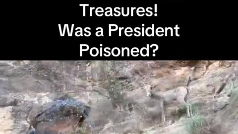 INTO THE GRAND CANYON