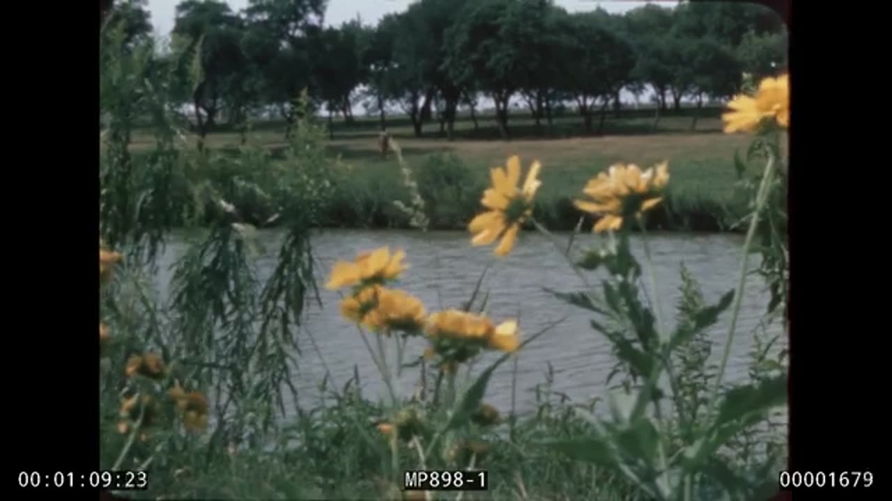 The President; July 1968. MP898