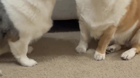 Personal Space Is Just a Suggestion