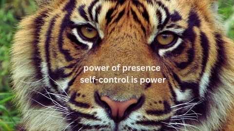 self control is power I speak less do more I motivation I quotes I stoicism