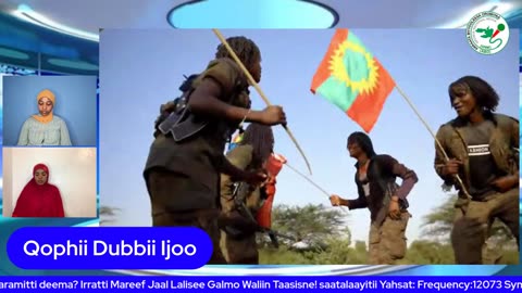 Qophii Dubbii Ijoo ONM-ABO Hagayya 17-2025 itti dhiyaadhaa!