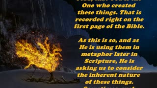 Matthew 12:34 - Daily Bible Verse Commentary