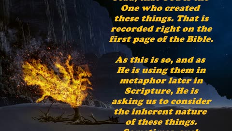 Matthew 12:34 - Daily Bible Verse Commentary