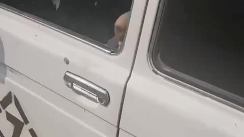"Our Car Got Hit and The Driver is Gone" - Russian TikToker