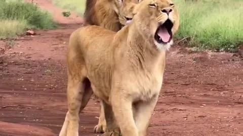 Cute Couple