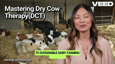 Unlock Healthy Cows with Dry Cow Theraphy(DCT)