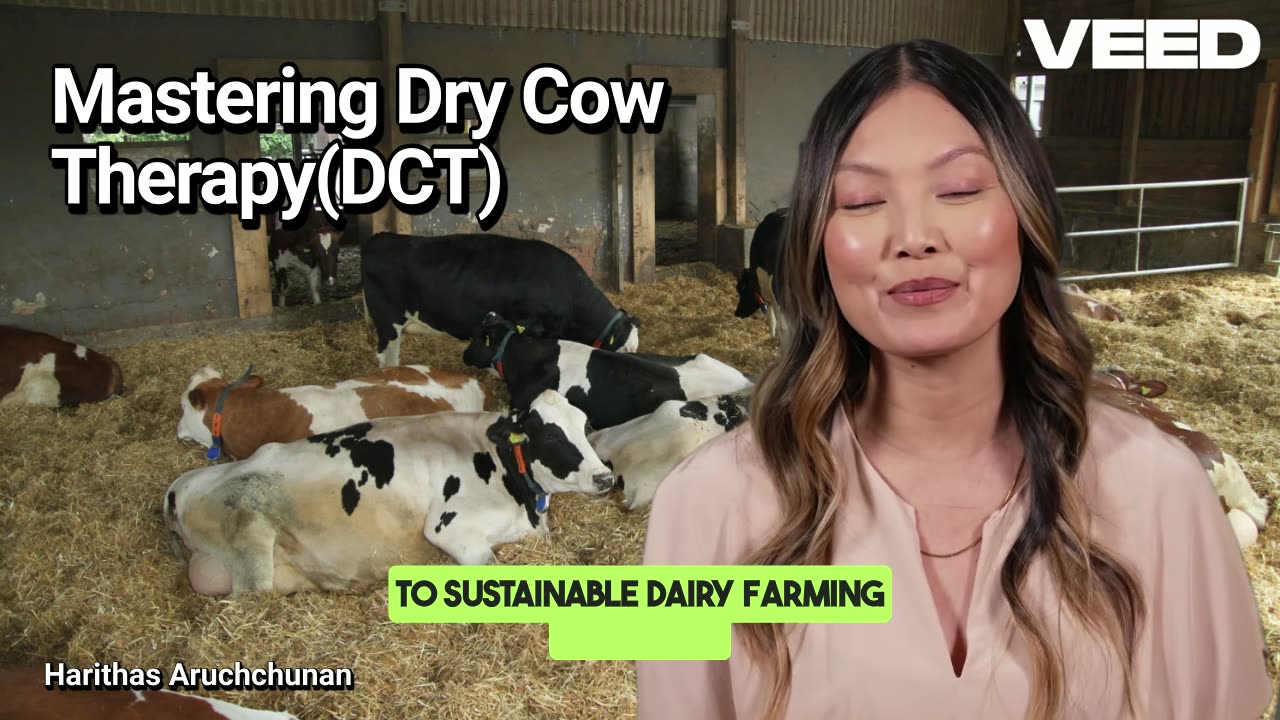Unlock Healthy Cows with Dry Cow Theraphy(DCT)