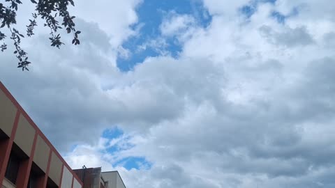 A "cloudy" day blocking direct sunlight from the white sun and yellow sun(1)