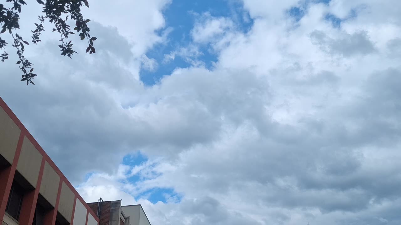 A "cloudy" day blocking direct sunlight from the white sun and yellow sun(1)