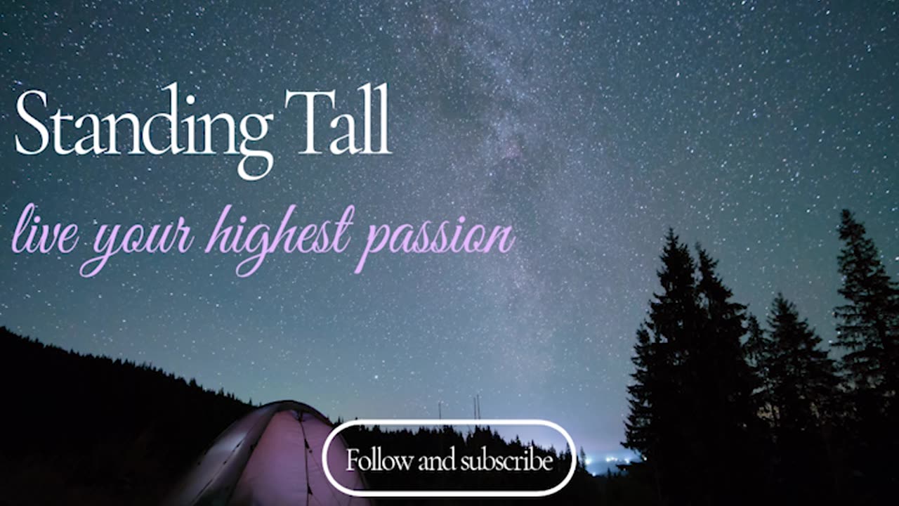 The Signal Beneath It All – Why You're Feeling So Much Right Now