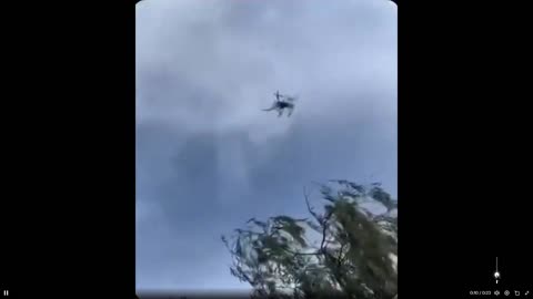 Drone annoys some hornets and guess who wins the battle. Don't mess w/nature