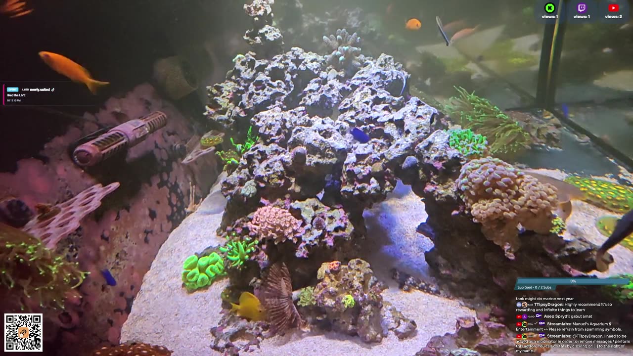 24/7 Real Live Reef Stream