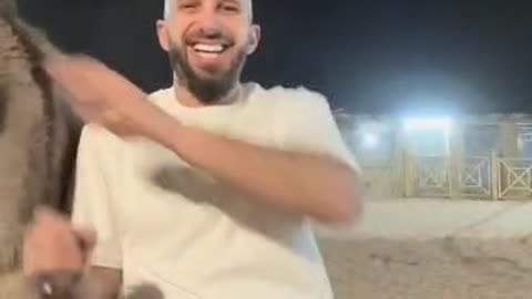 سنبل الرياضي