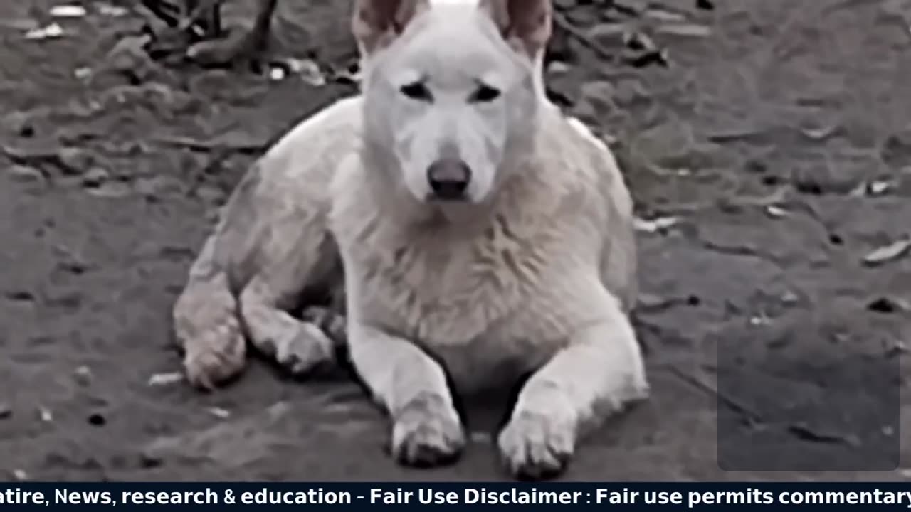 Congressional Titled/EnTitled Idiots On The Mic LOL