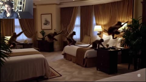 Outtake #1,072 Of Over 10 Monkeys Roam Around A Hotel Fake Funny Parody Video
